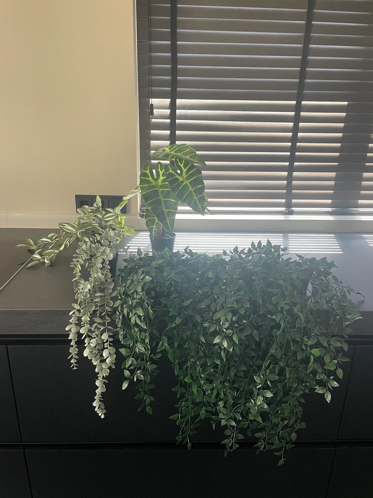 kunstplanten, Ophalen, Overige soorten, Halfschaduw, In pot