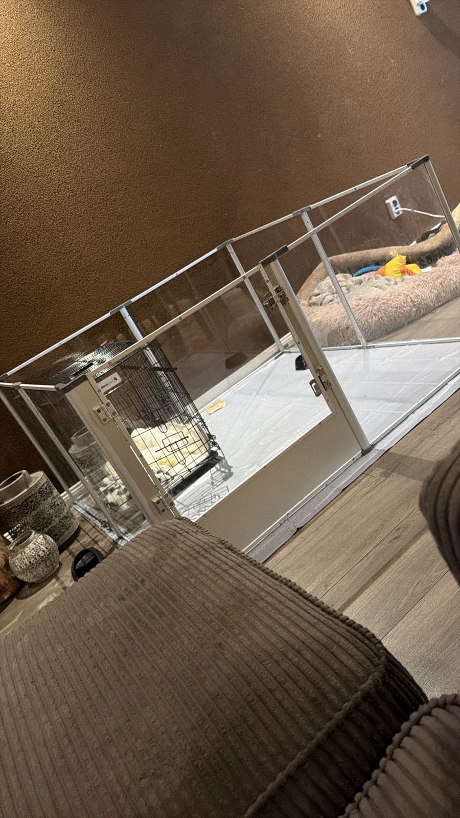 Puppy / dierenren te koop, werpbox, Ophalen, Zo goed als nieuw