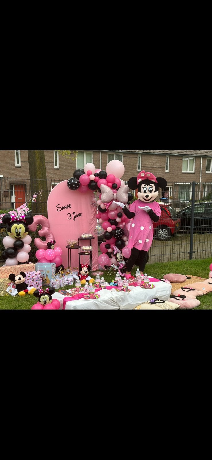 Minnie Mouse mascotte te huur, Ophalen of Verzenden, Zo goed als nieuw, Verjaardag