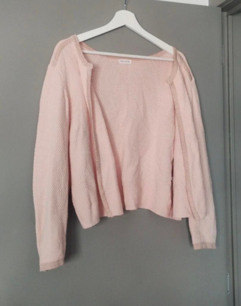 Pauline B. vest maat 42/44, Kleding | Dames, Ophalen of Verzenden, Zo goed als nieuw, Maat 42/44 (L), Roze