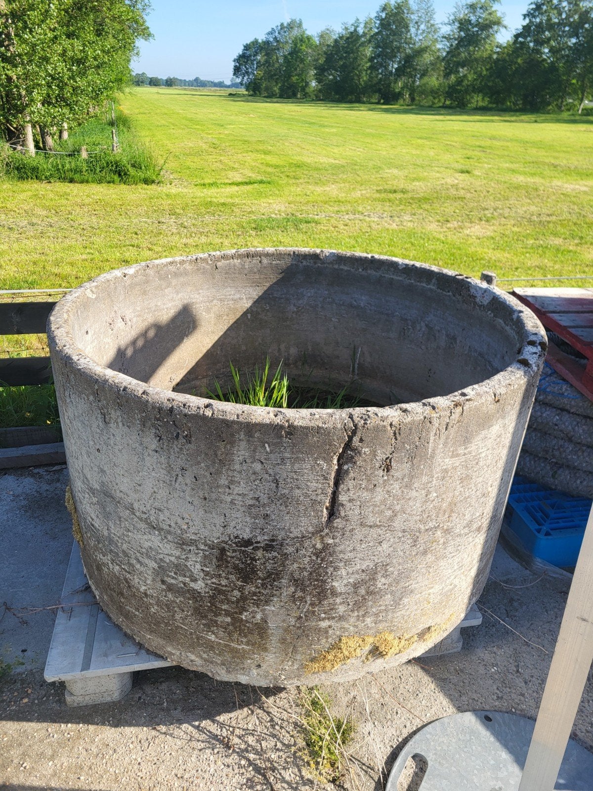 Beton drinkbak.   Bloembak, Tuin en Terras, Ophalen of Verzenden, Rond