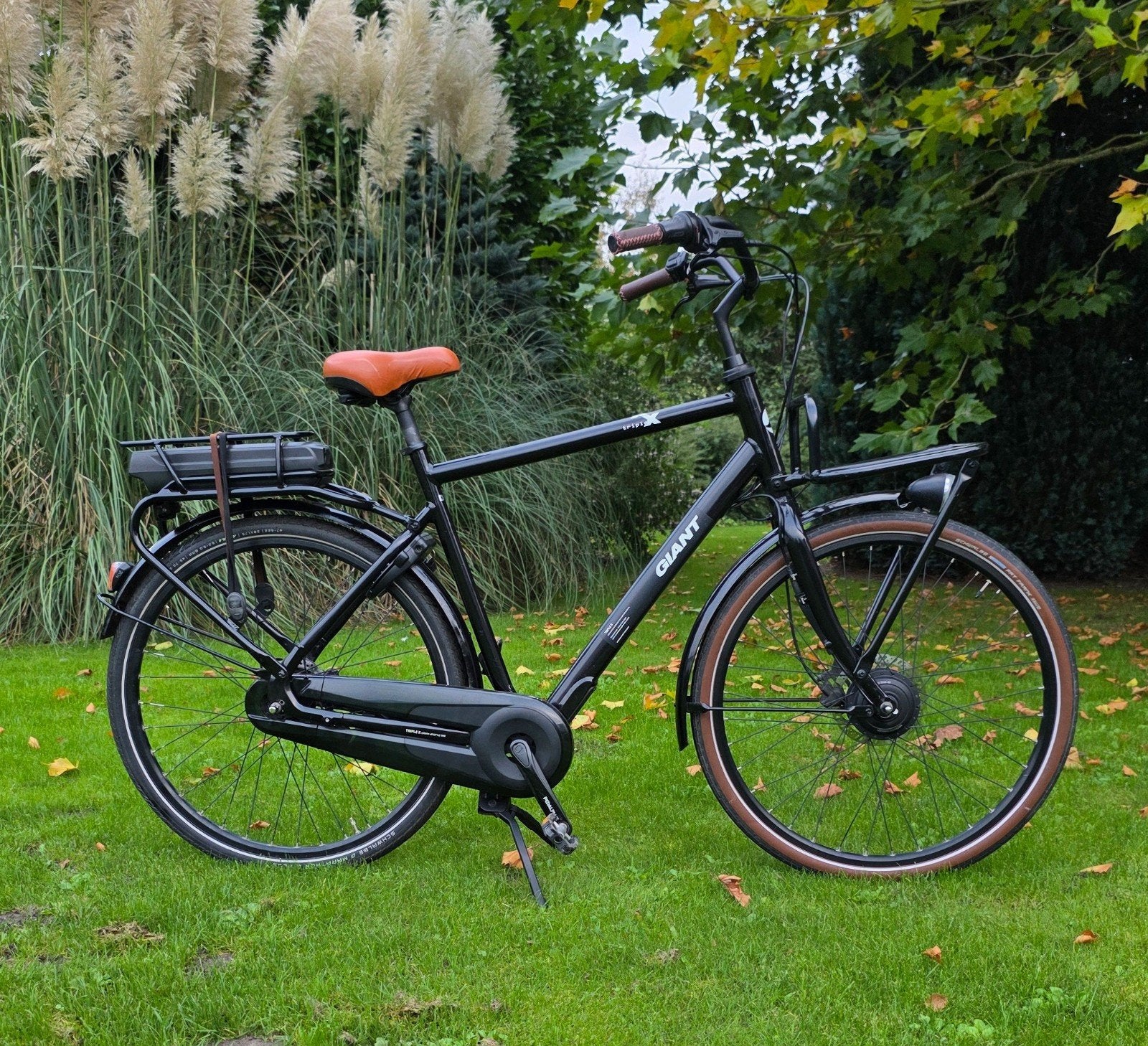 E-bike Giant Triple X  E+ / 2023, Ophalen, Gebruikt, Giant, 59 cm of meer