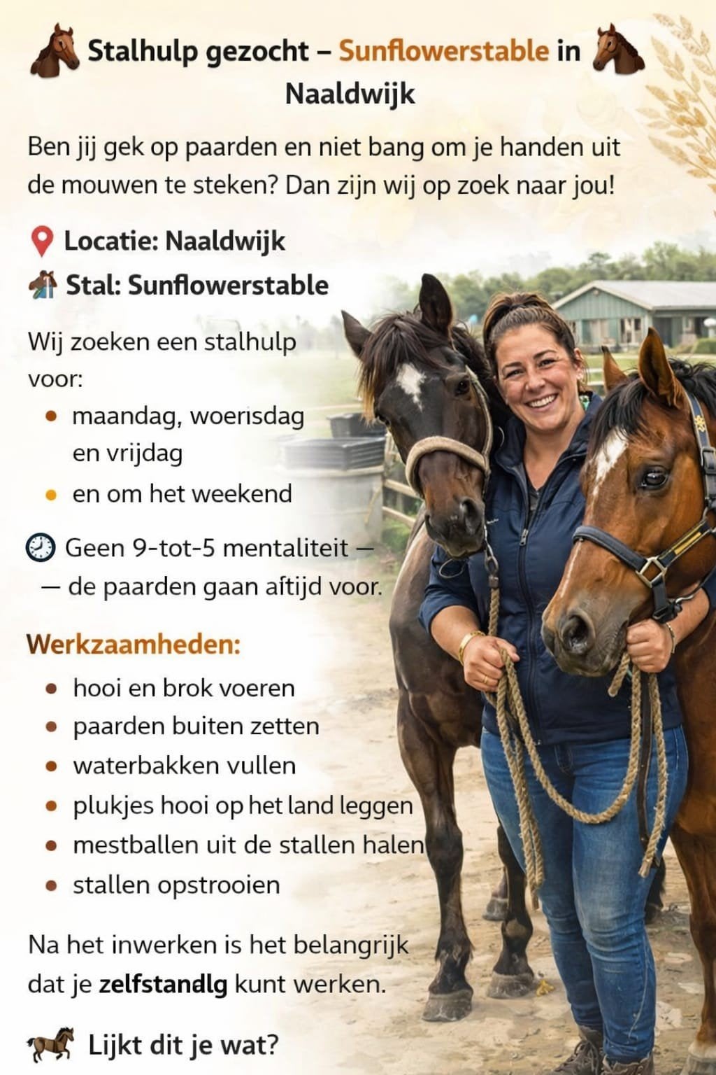 Gezocht ervaren stalhulp, Diensten en Vakmensen, Dieren | Paarden | Verzorging, Oppas en Les