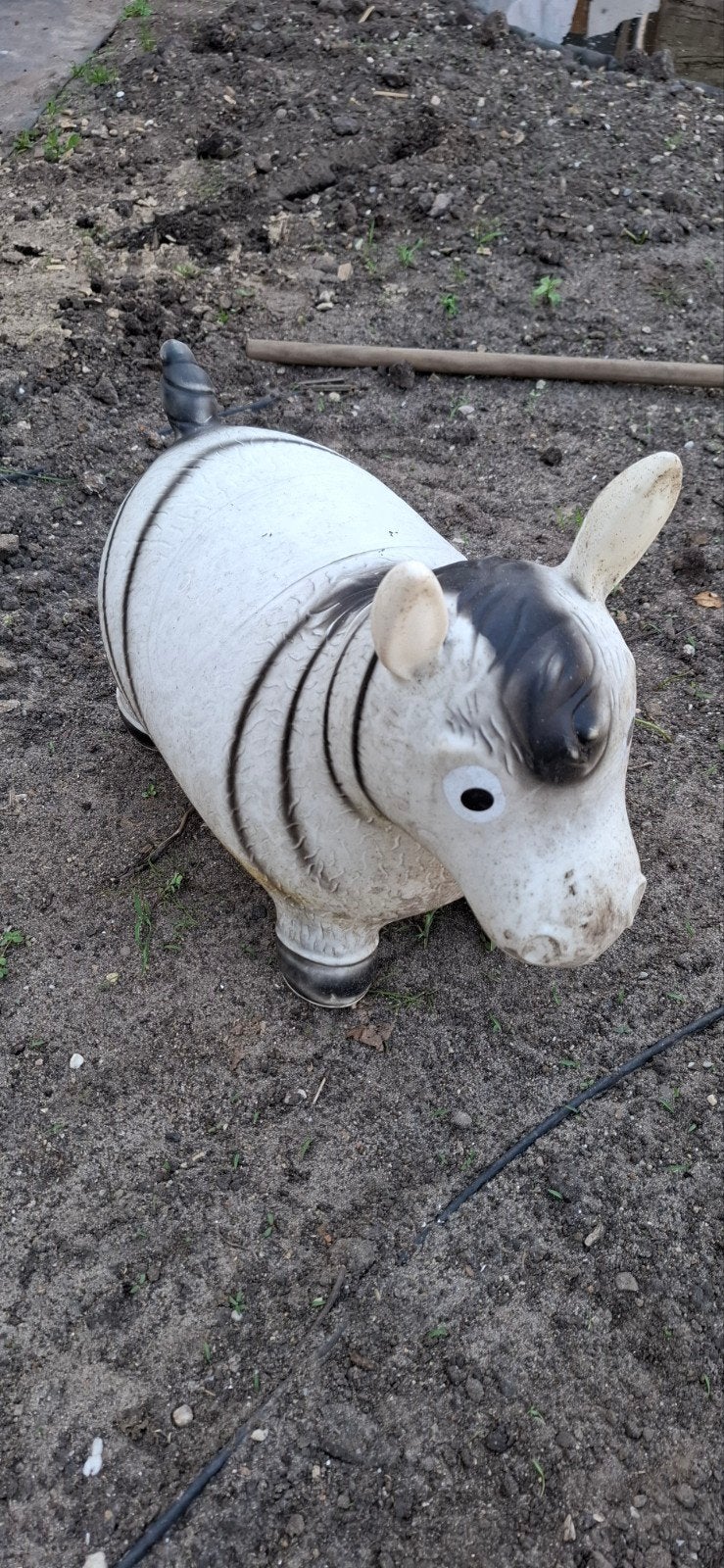 gratis af te halen: skippy zebra, Ophalen of Verzenden