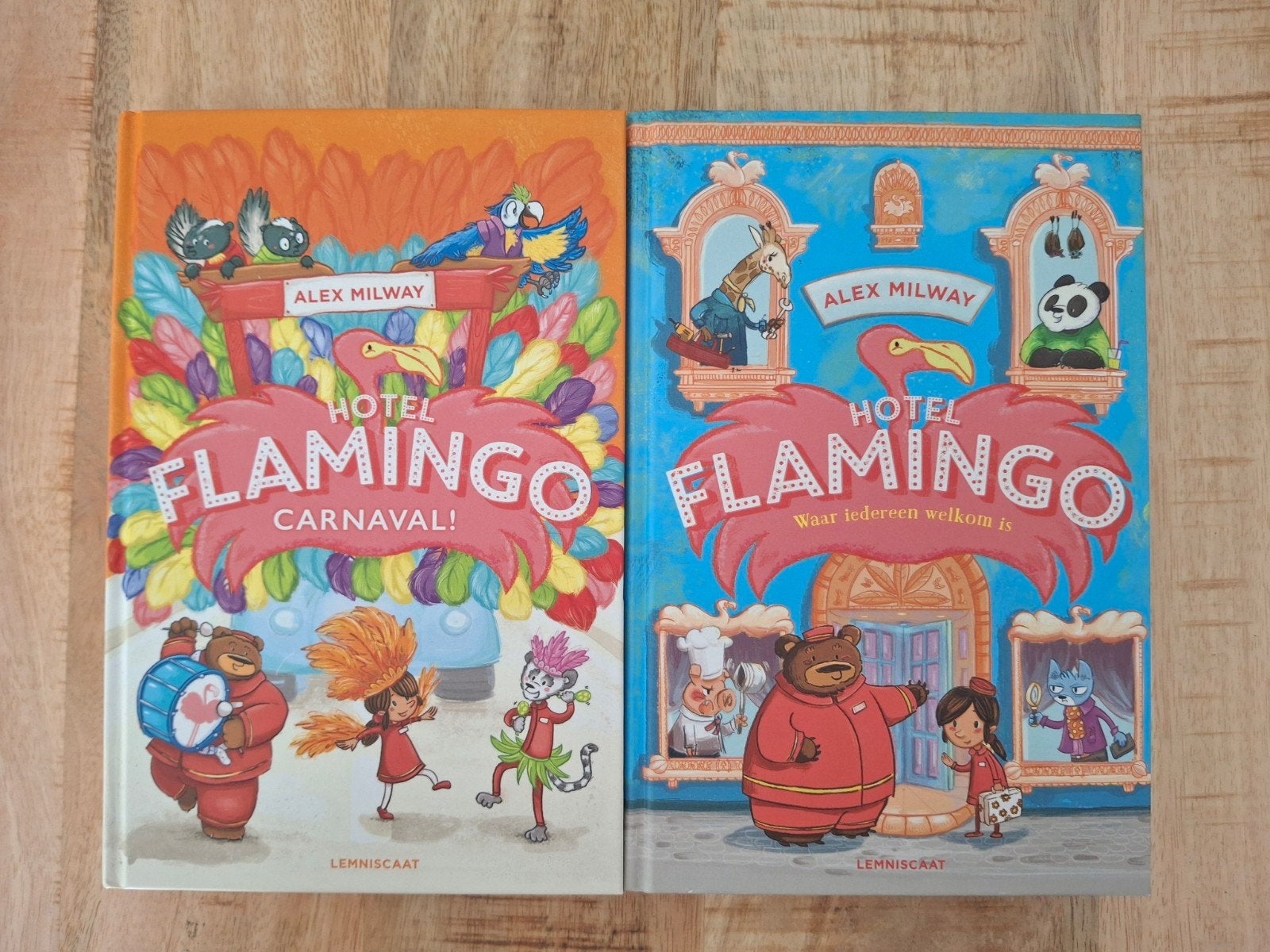 Hotel Flamingo, Ophalen of Verzenden, Zo goed als nieuw, Fictie algemeen
