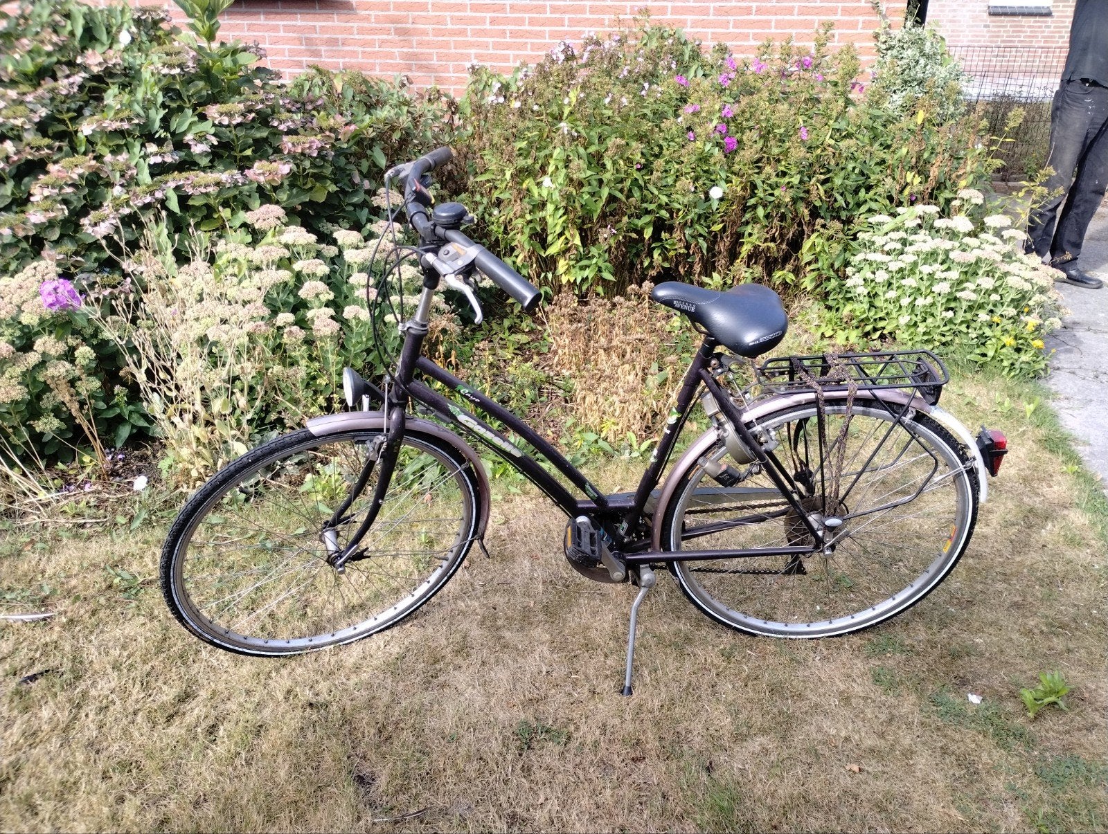 Gazelle Cayo damesfiets, weinig gebruikt, 53 tot 56 cm, Ophalen
