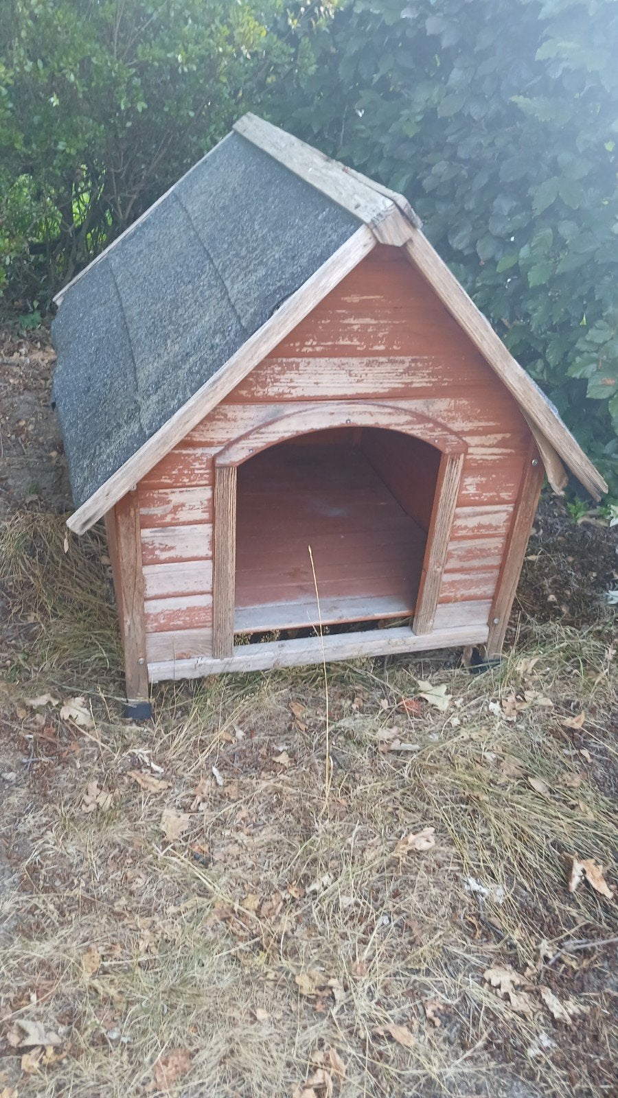 hondenhok gratis, Ophalen, Gebruikt, 75 tot 110 cm, 65 tot 100 cm