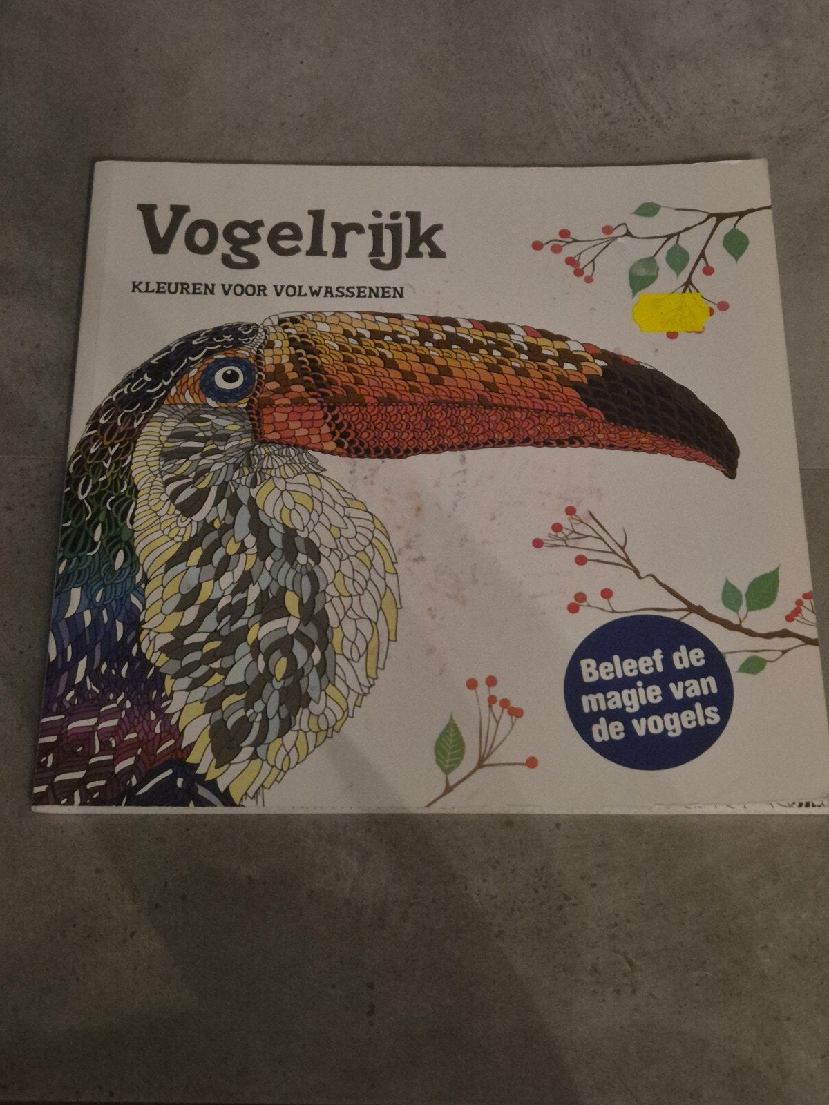 Vogelrijk: Kleuren voor Volwassenen, Ophalen, Zo goed als nieuw, Dieren, Knutselboek