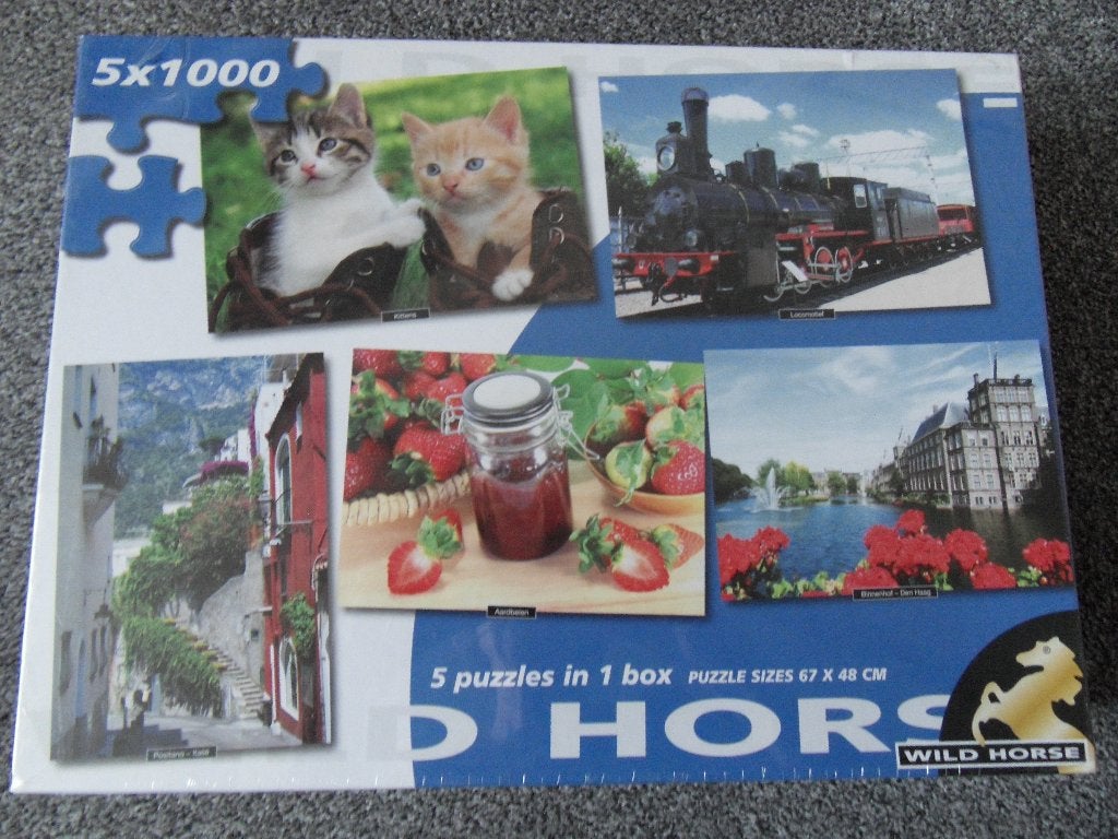 5 Puzzels 1000 stukjes per puzzel. Nieuw in verpakking, Ophalen of Verzenden, 500 t/m 1500 stukjes, Nieuw