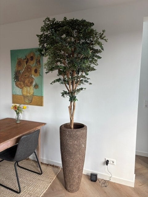Kunst plant Clusia luxe kantoor, Ophalen, Binnen, Groen, Kunstplant