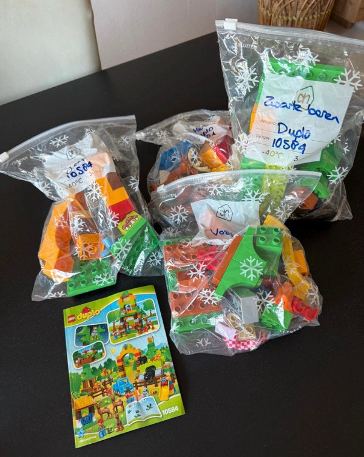 Lego Duplo Het Grote Bos (10584) - Compleet op paar delen na, Gebruikt, Overige thema's, Verzenden, Duplo