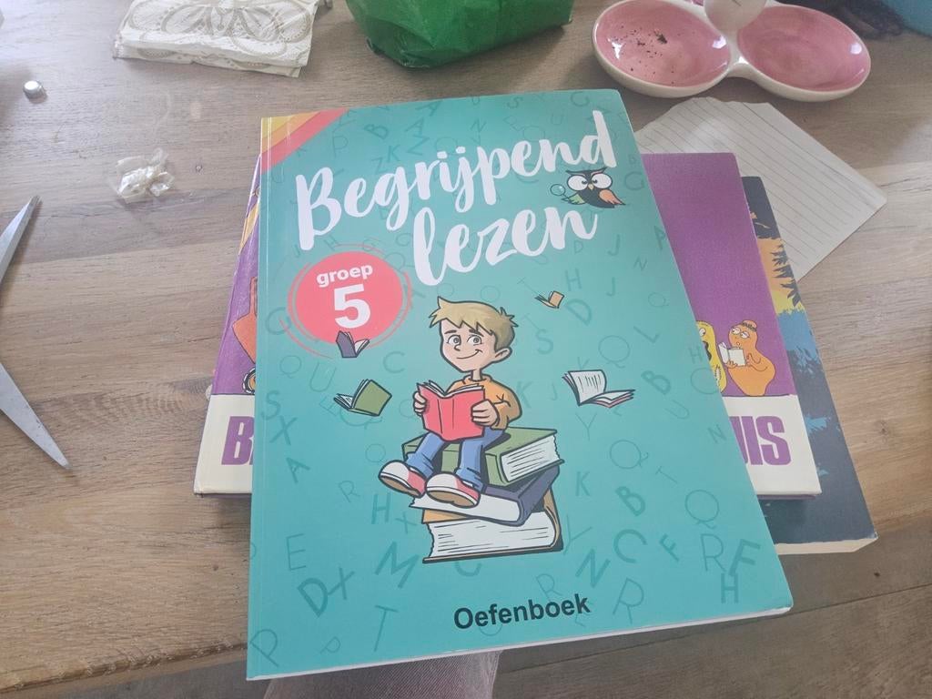 Oefenboek Begrijpend lezen groep 5, Boeken, Ophalen of Verzenden, Zo goed als nieuw, Overige niveaus, Nederlands