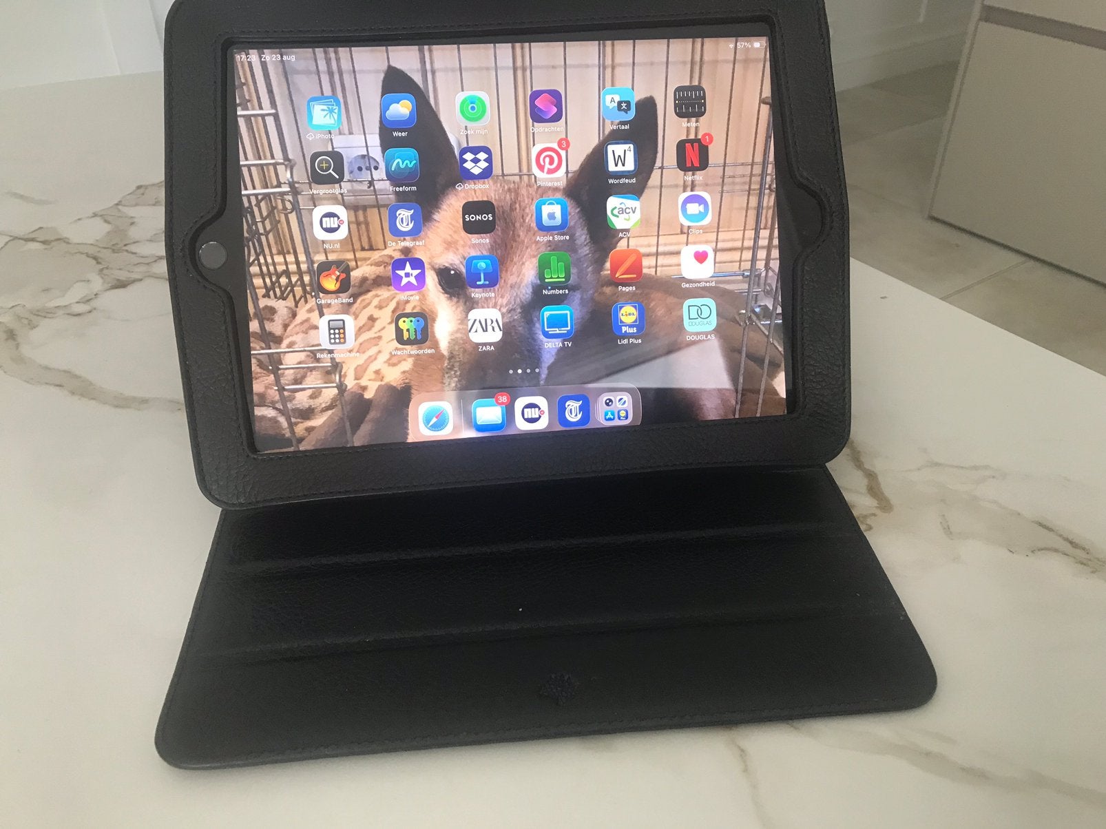 Mulberry vol leder i pad houder voor 11 inch, Ophalen of Verzenden, Zo goed als nieuw, 11 inch