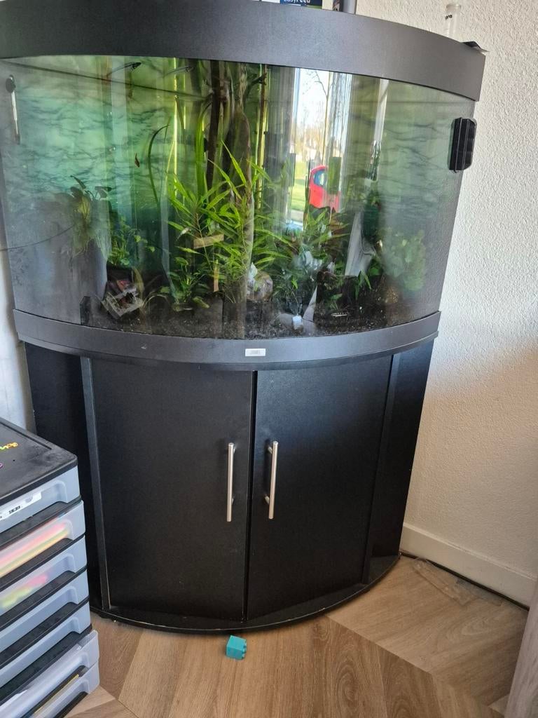Juwel trigon 190, Dieren en Toebehoren, Ophalen, Gevuld zoetwateraquarium