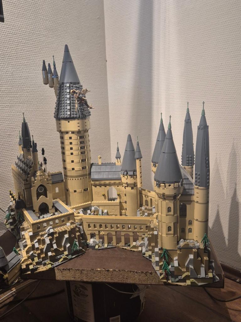 LEGO Harry Potter Zweinstein Kasteel - Zonder boekjes, Ophalen, Gebruikt
