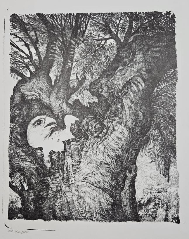 Verzameling Steendruk Litho's, Antiek en Kunst, Kunst | Litho's en Zeefdrukken, Gelimiteerde oplage, Overige onderwerpen, Ophalen of Verzenden