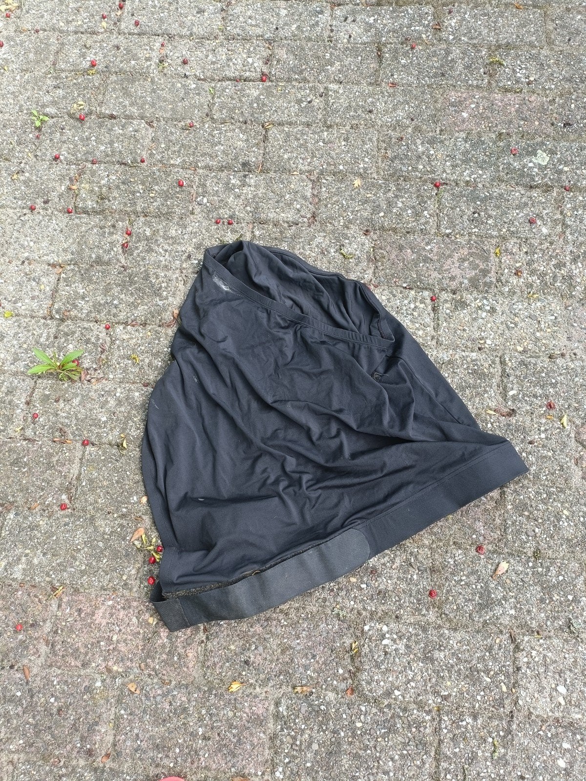 Zwarte paarden BH maat M, Dieren en Toebehoren, Ophalen