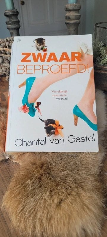 Chantal van Gastel - Zwaar beproefd! (Feelgood), Ophalen of Verzenden, Gelezen, Chantal van Gastel, Nederland