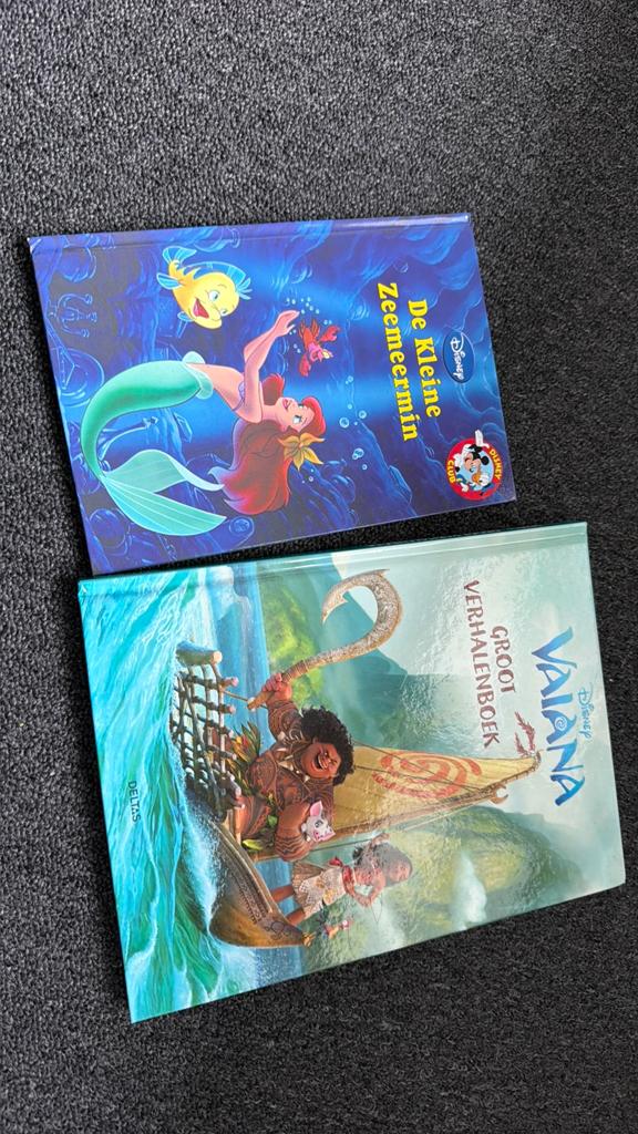 Vaiana groot verhalenboek + kleine zeemeermin, Boeken, Ophalen of Verzenden, Zo goed als nieuw, Sprookjes