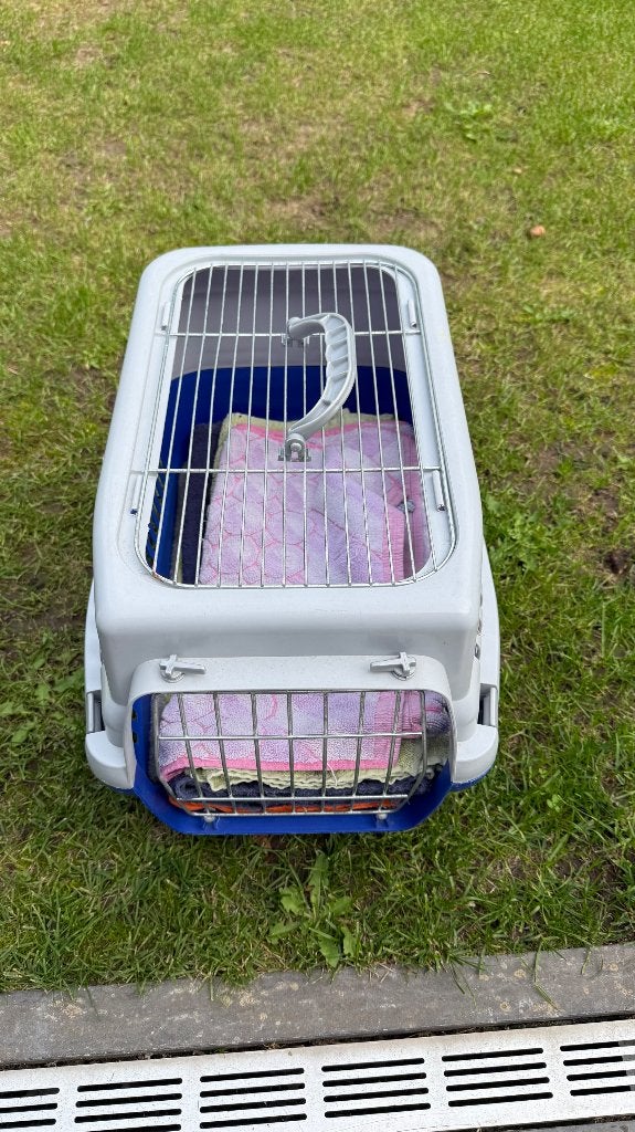 Transportmand katten, Dieren en Toebehoren, Ophalen of Verzenden, Gebruikt