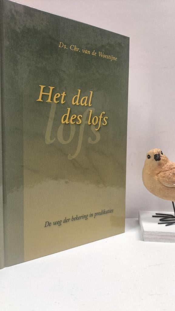 Woestijne, Ds. Chr. Van de; Het dal des lofs, Ophalen of Verzenden, Gelezen, Christendom | Protestants
