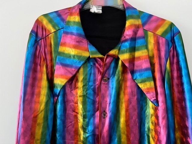 Wilbers - Wilbers, super leuke gekleurde bloes maat L., Kleding | Dames, Carnavalskleding en Feestkleding, Carnaval, Maat 42/44 (L)