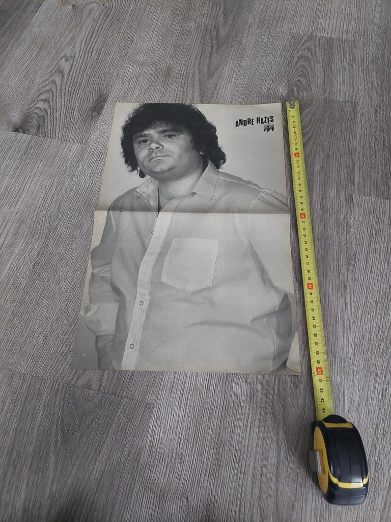vintage  poster ANDRE HAZES  sr. (1980), Verzenden, Zo goed als nieuw, Poster, Artwork of Schilderij