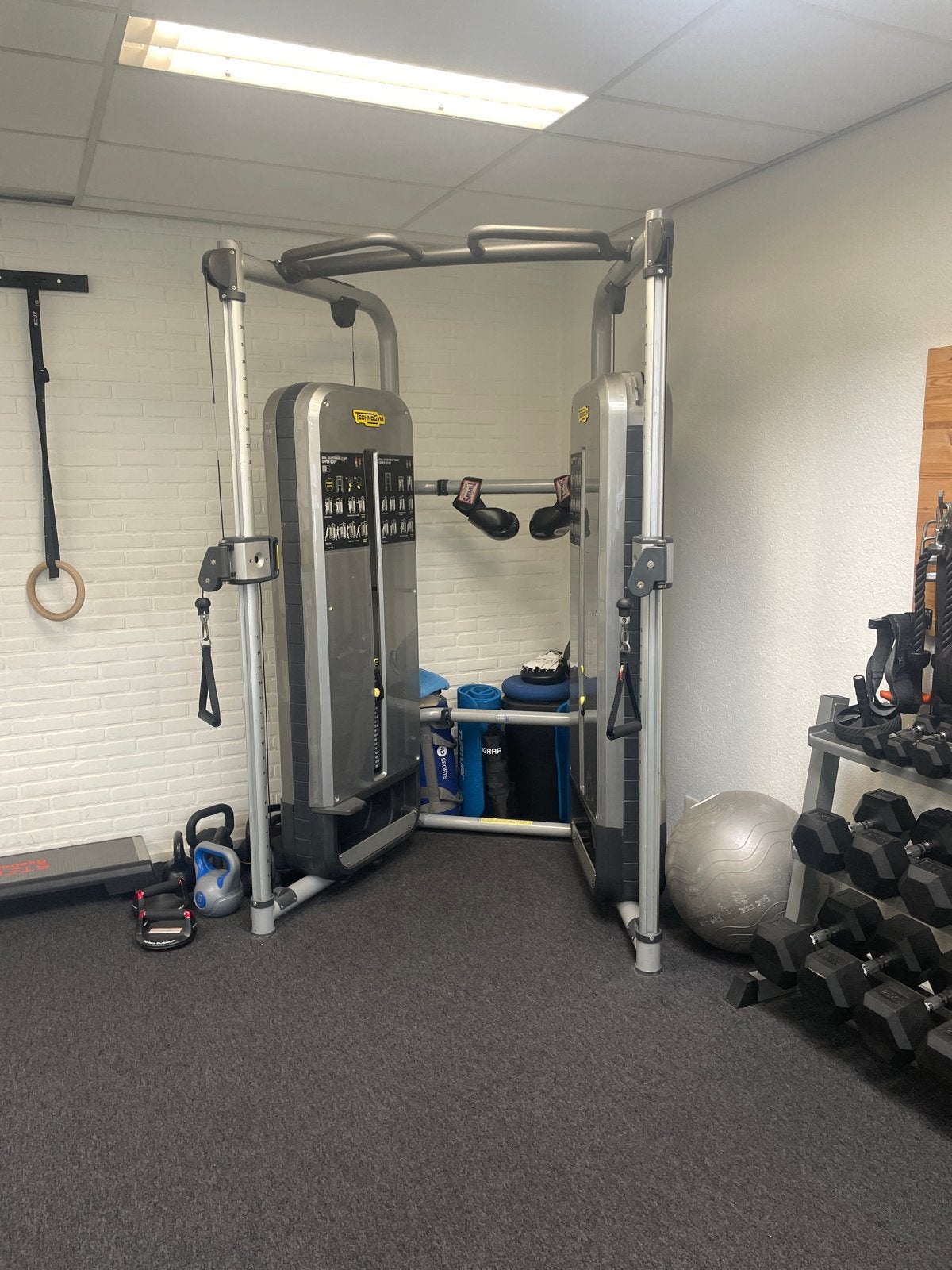 Technogym Krachtstation - Dual Adjustable Pulley, Ophalen, Gebruikt, Krachtstation, Armen