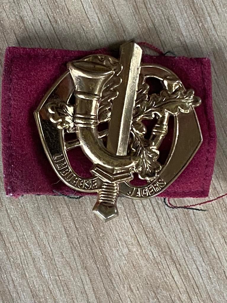 Baret Embleem Limburgse Jagers, Verzamelen, Militaria | Algemeen, Ophalen of Verzenden, Landmacht, Nederland, Embleem of Badge