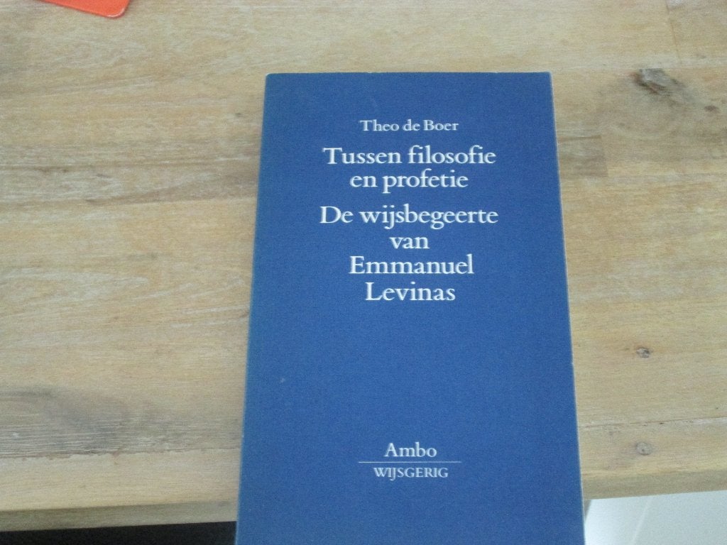 Theo de Boer tussen filosofie en profetie, Ophalen of Verzenden, Zo goed als nieuw