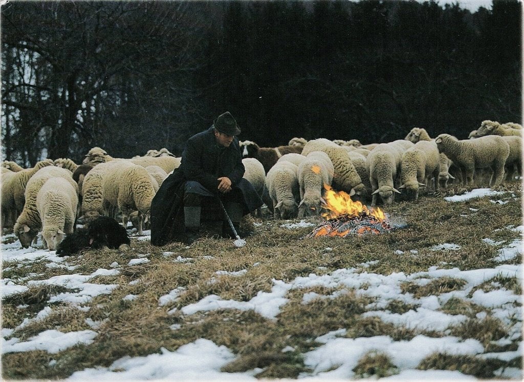 Schapen met herder met vuurtje 199, Verzenden, 1980 tot heden, Ongelopen, Overige soorten