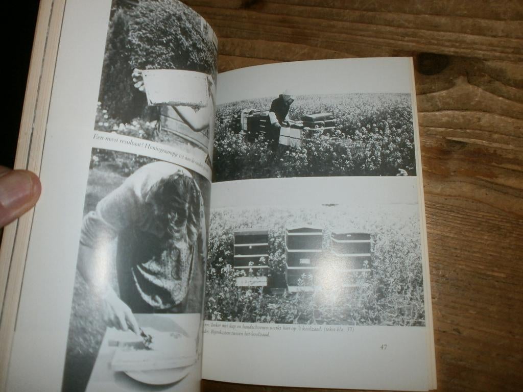 bijen houden kunt u ook   veel tips en fotos in de tekst, Boeken, Ophalen of Verzenden, Gelezen, Overige onderwerpen