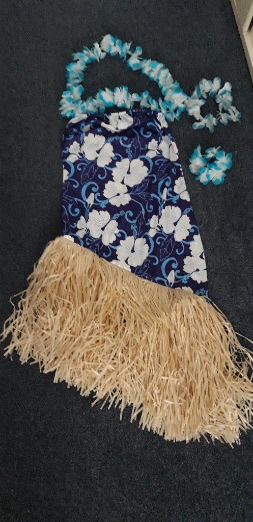 Carnaval hula hawaï complete set Nieuw, Ophalen, Nieuw, Kostuum, Carnaval