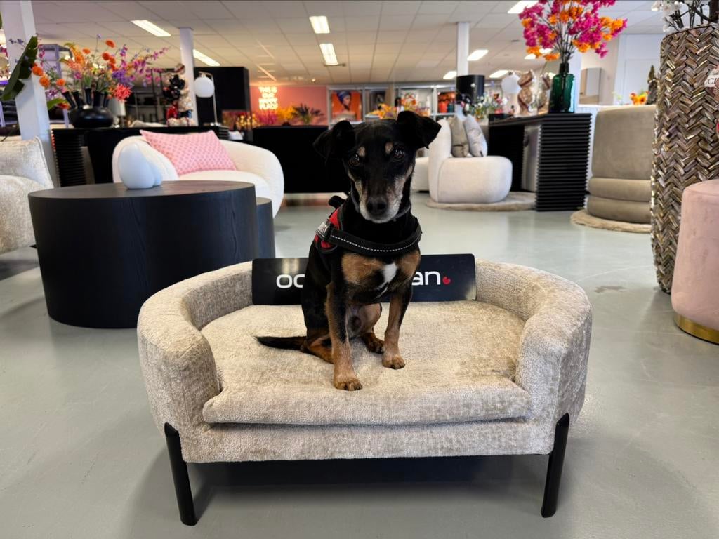 Luxe Velvet Teddy Hondenmand Ted 85cm NIEUW - Beige Sand, Info@oosterbaanwonen.nl, Venus 31 8448CE Heerenveen, Nieuw, Ophalen of Verzenden
