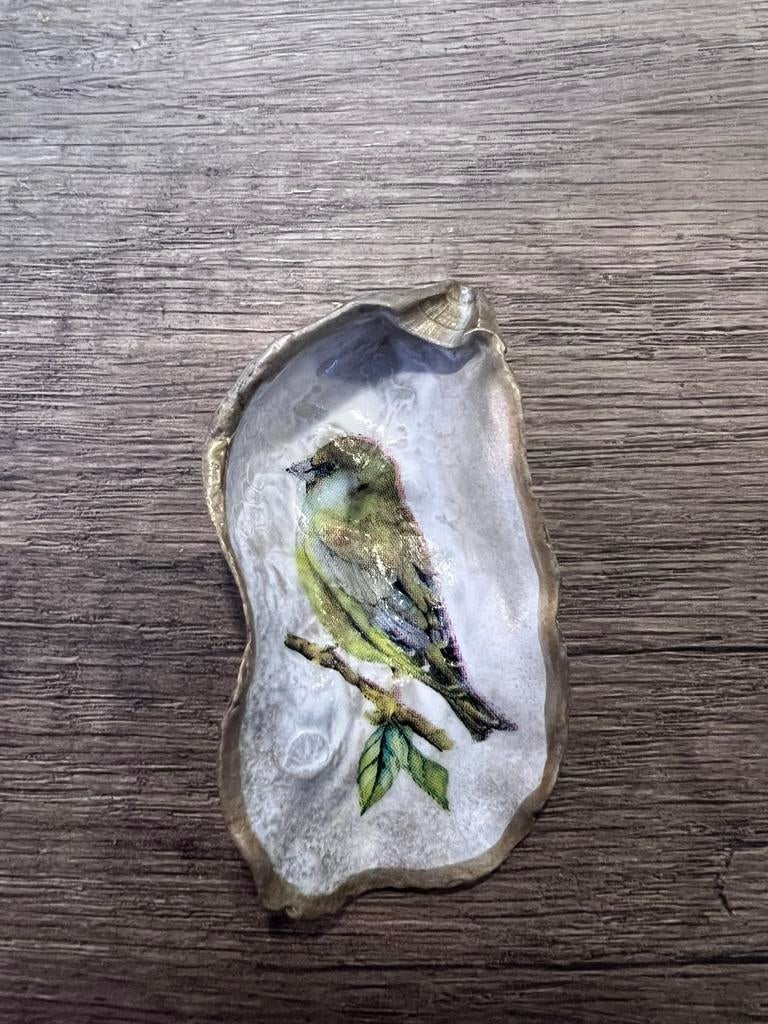 Oesterschelpje met Groenling, Ophalen of Verzenden, Schelp(en)