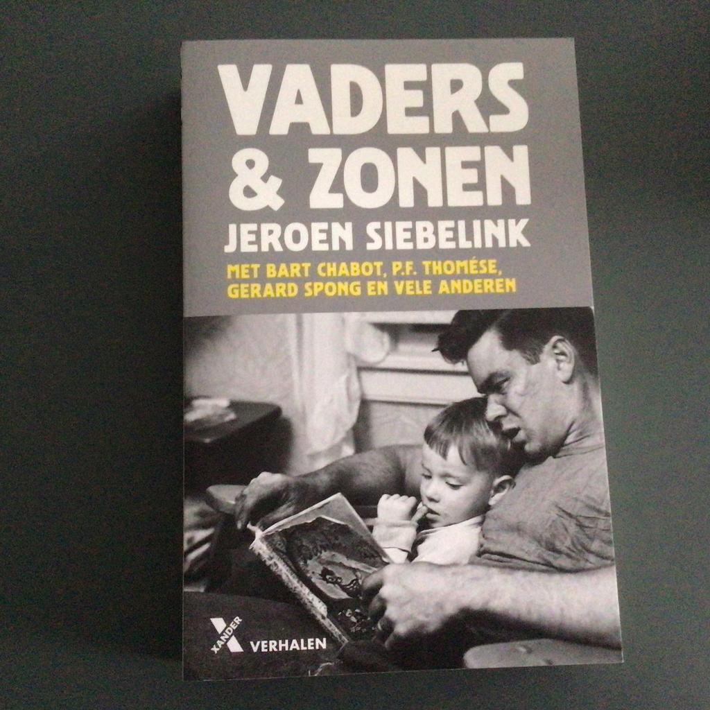 Jeroen Siebelink - Vaders en zonen, Boeken, Ophalen of Verzenden, Zo goed als nieuw, Jeroen Siebelink