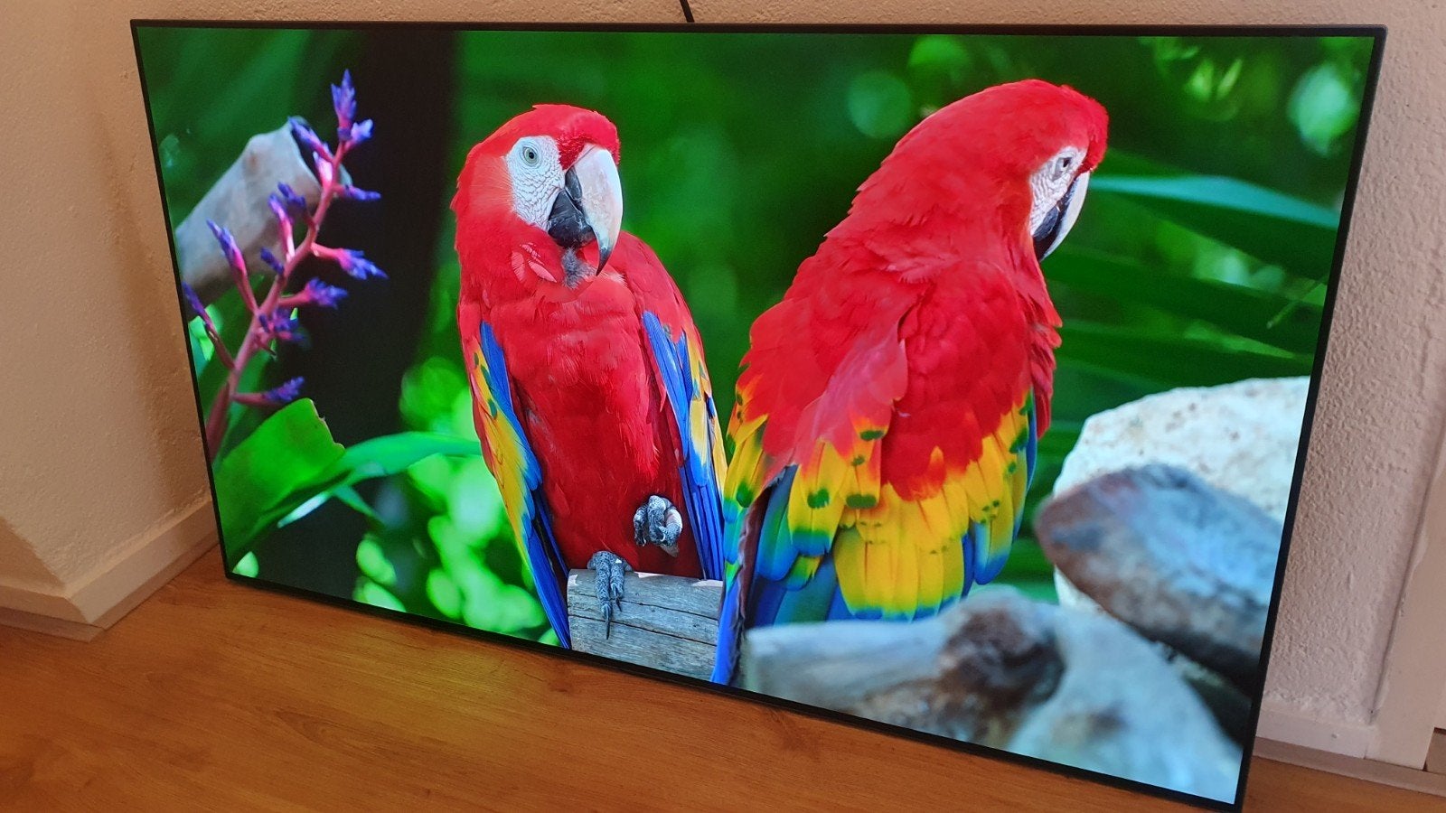 LG OLED65G1RLA (OLED evo Gallery) – 4K OLED Smart TV – 120Hz, Ophalen, Zo goed als nieuw, 100 cm of meer, 4k (UHD)