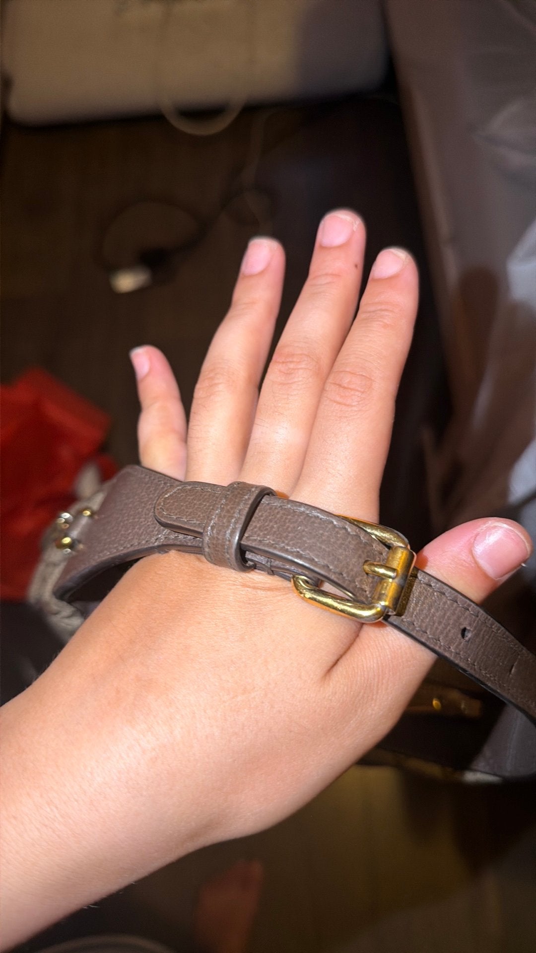 Gucci tas, Ophalen of Verzenden, Gebruikt, Bruin, Overige typen
