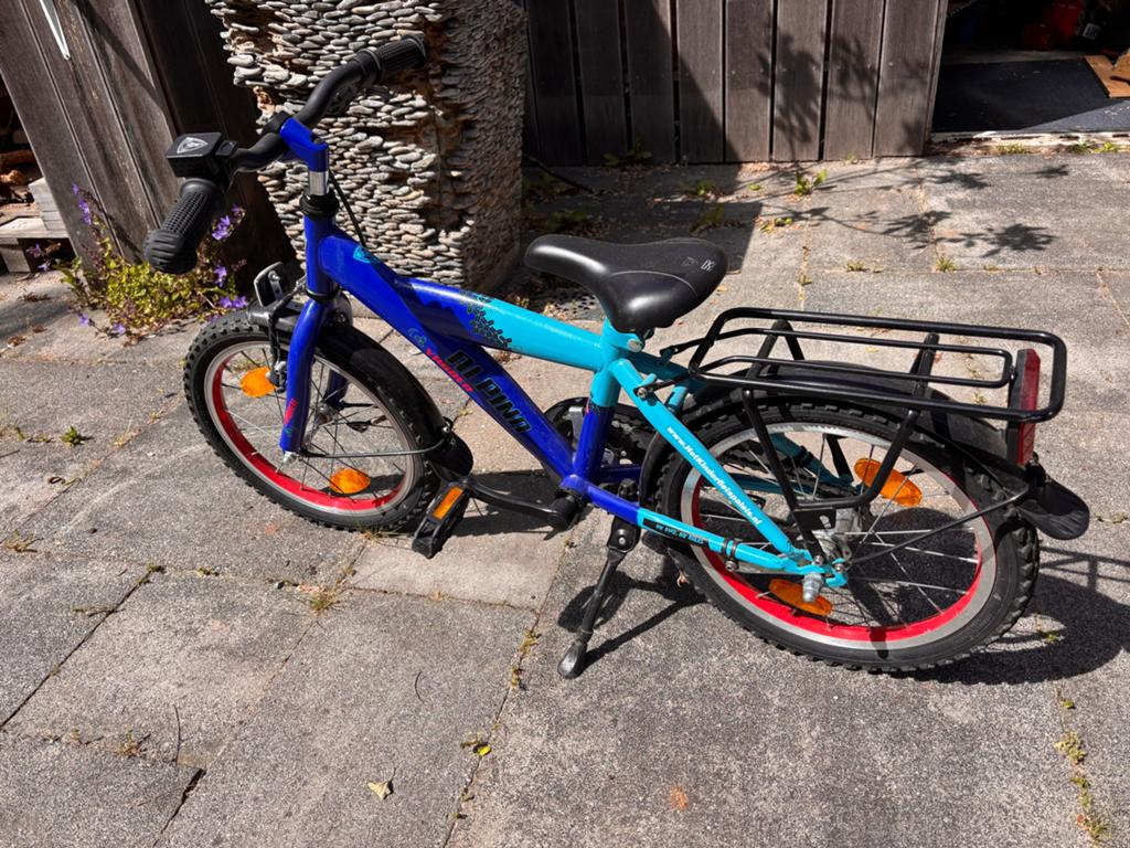 Alpina Yabber kinderfiets 16 inch, Fietsen en Brommers, Fietsen | Kinderfietsjes, Ophalen, Gebruikt, Terugtraprem, 16 tot 20 inch