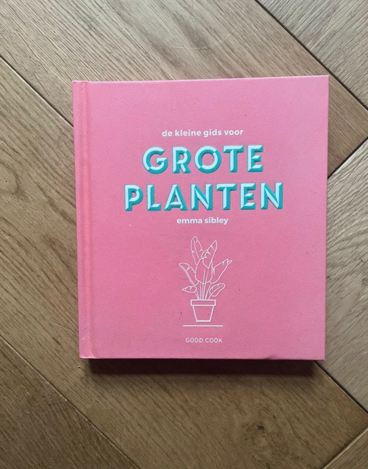 De kleine gids voor grote planten - Emma Sibley, Ophalen of Verzenden, Zo goed als nieuw, Kamerplanten