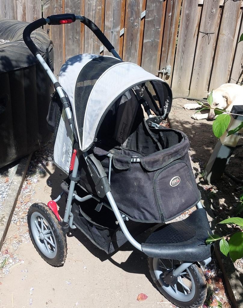 Puppy of kleine honden buggy, Ophalen