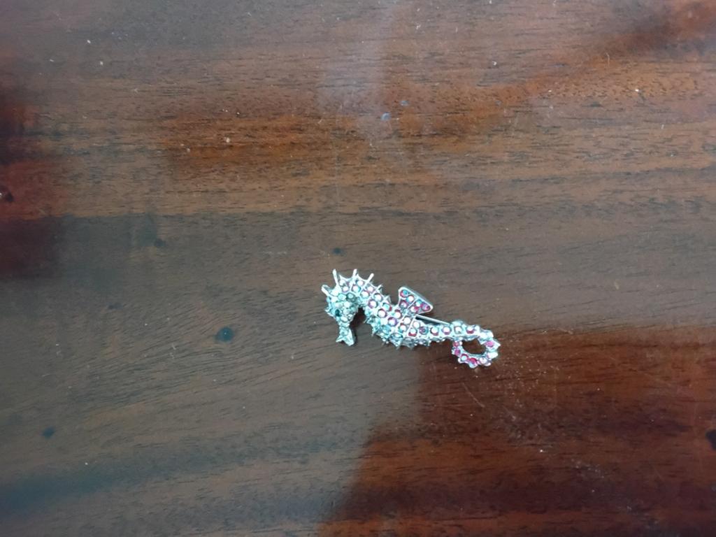 Mooie broche zeepaardje, Ophalen of Verzenden, Zo goed als nieuw, Goud, Overige materialen