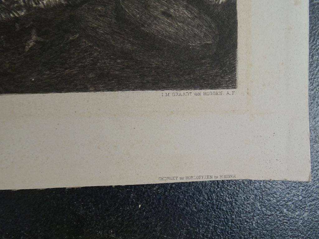 Prent riviergezicht Wijk bij Duurstede n. Graadt van Roggen, Antiek en Kunst, Kunst | Etsen en Gravures, Verzenden, Stadsgezicht