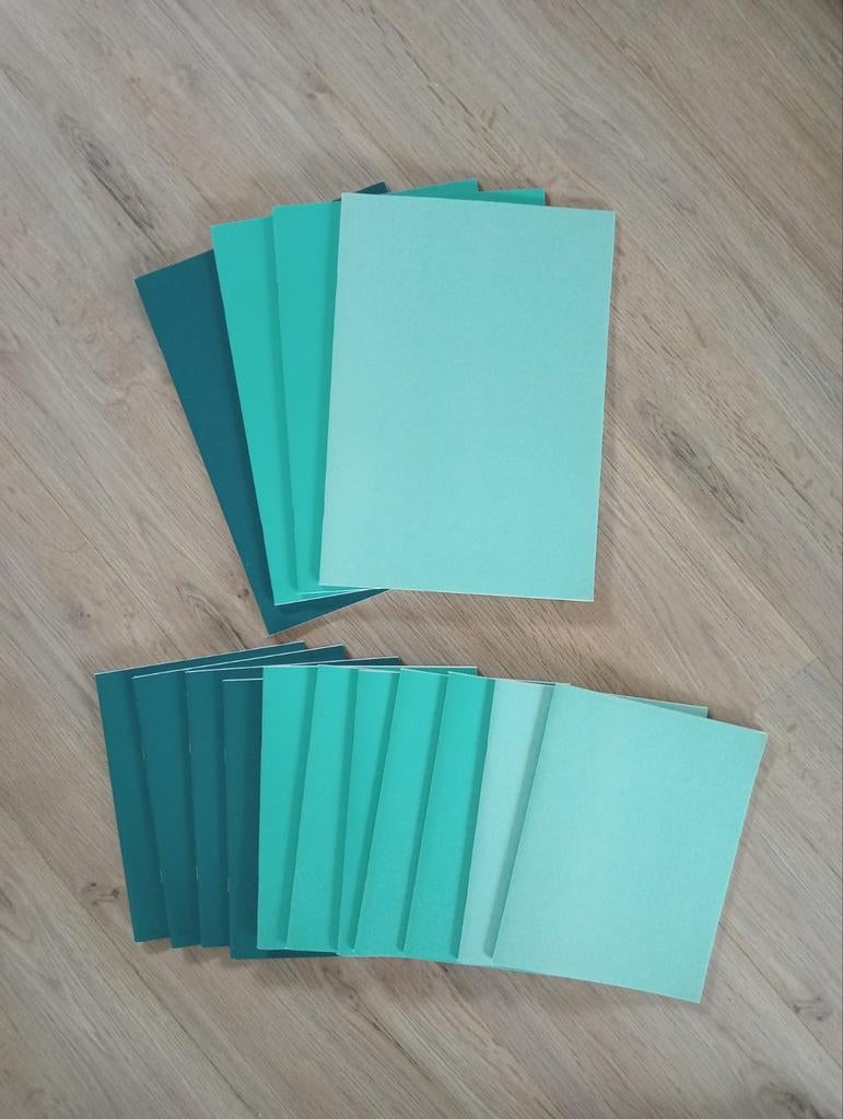 Mooie set nieuwe lijntjesschriften, Diversen, Ophalen of Verzenden, Nieuw
