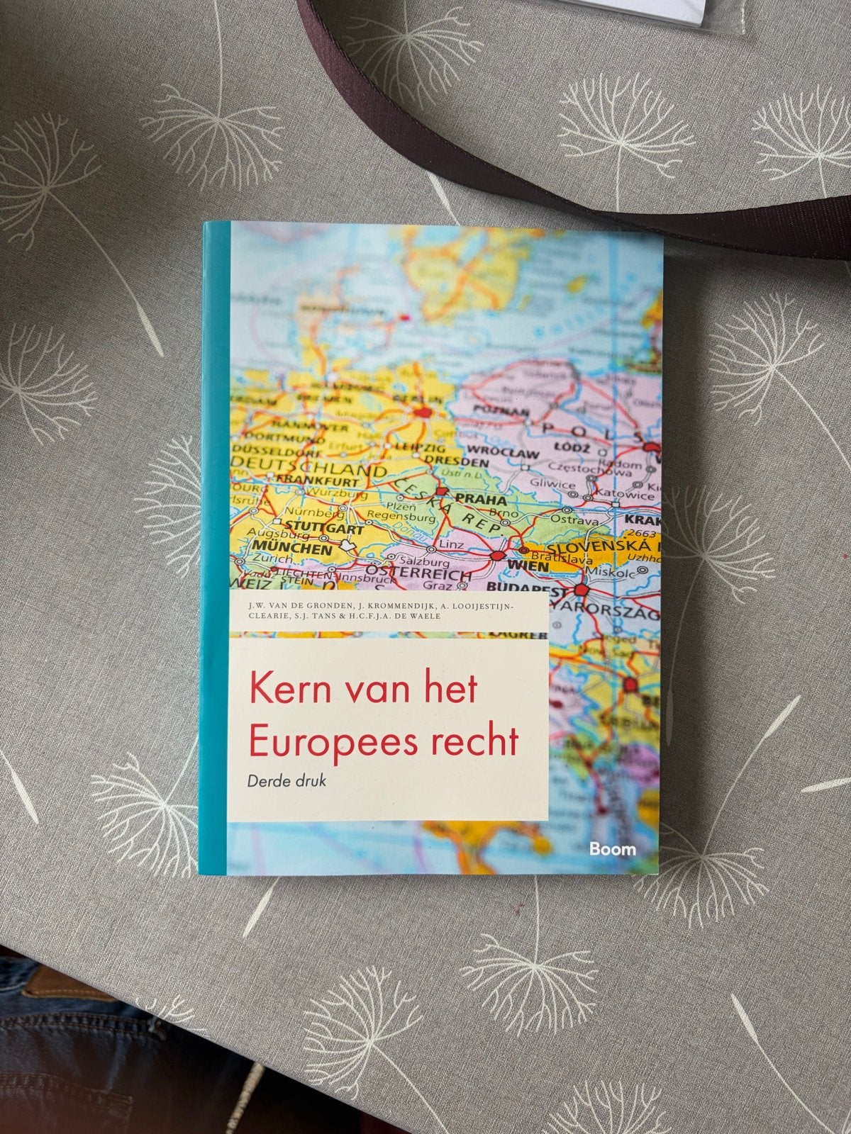 Kern van het Europees recht - Derde druk, Boeken, Studieboeken en Cursussen, Ophalen of Verzenden, Gamma, Zo goed als nieuw, WO