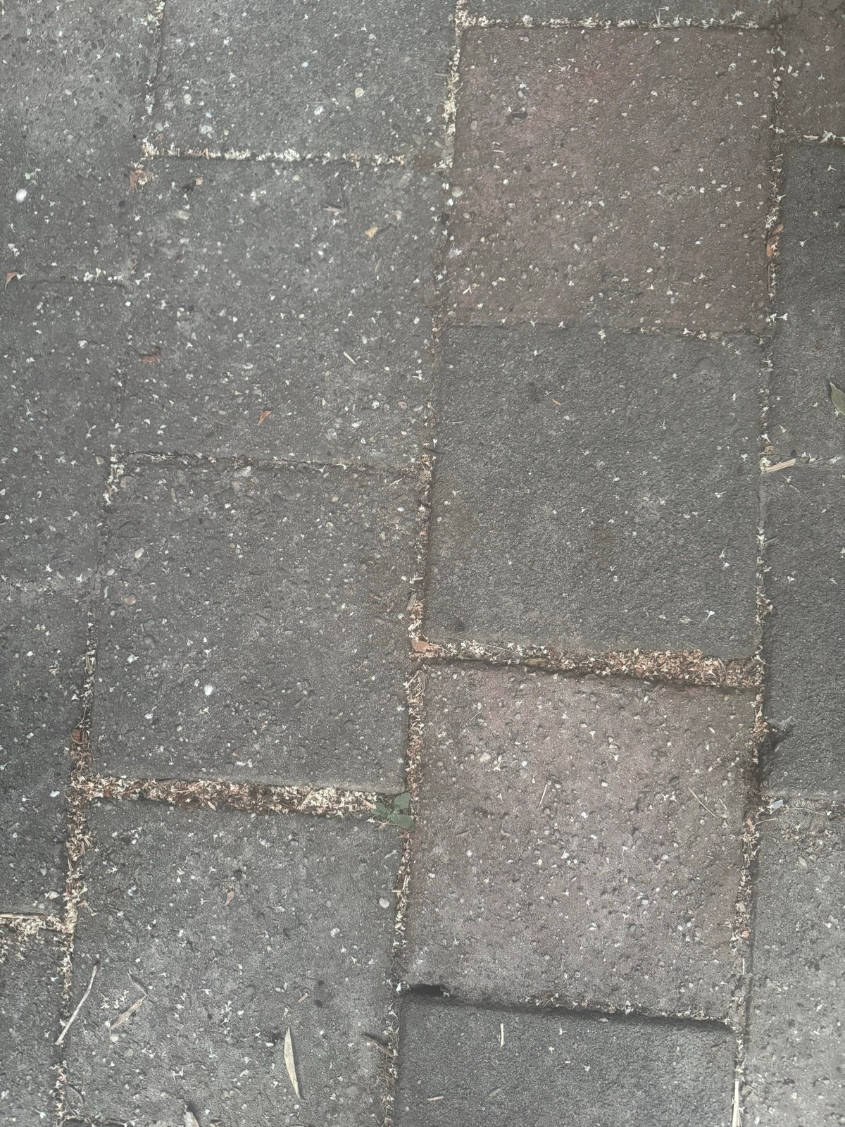 30x30 tegels, ca. 25 m2 - Gebruikt, Ophalen, Overige materialen, Gebruikt, 20 tot 40 cm