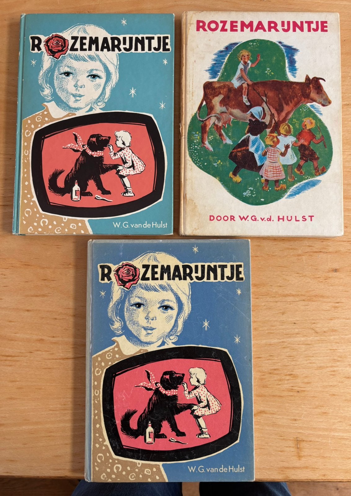 Rozemarijntje serie WG van de Hulst, Ophalen of Verzenden, Gelezen, Fictie