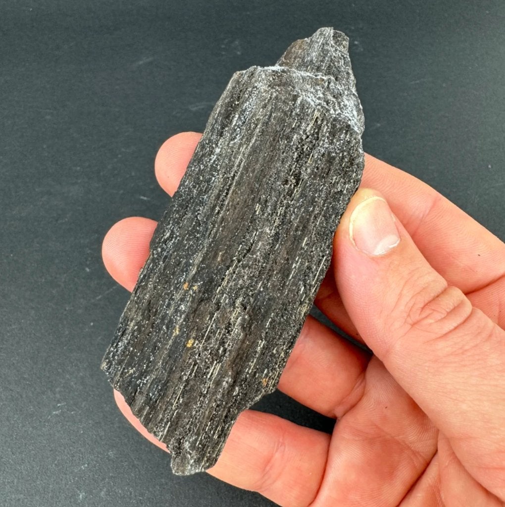 Gepermineraliseerd Hout uit Banten, Java, Indonesië, Ophalen of Verzenden, Fossiel