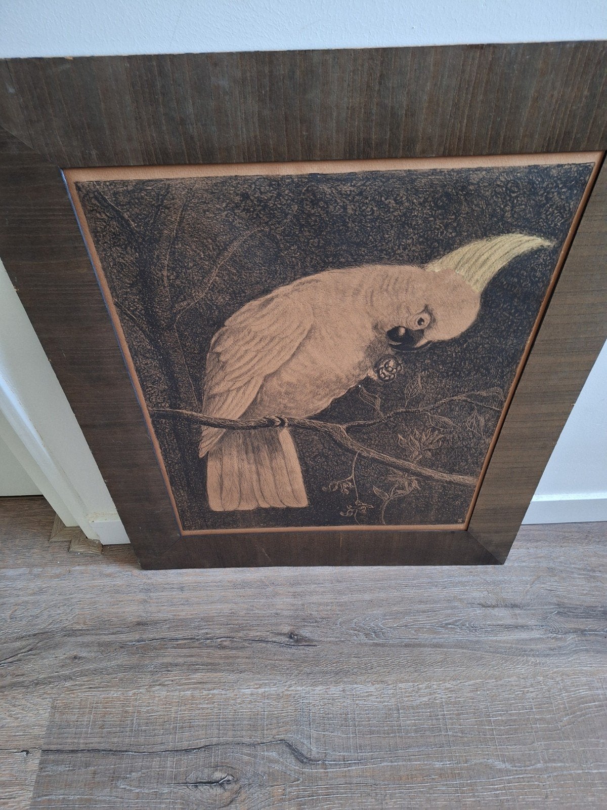 Prachtige Kaketoe Ets - Gesigneerd, Antiek en Kunst, Flora en Fauna, 1950 - 1999, Ets, Gesigneerd