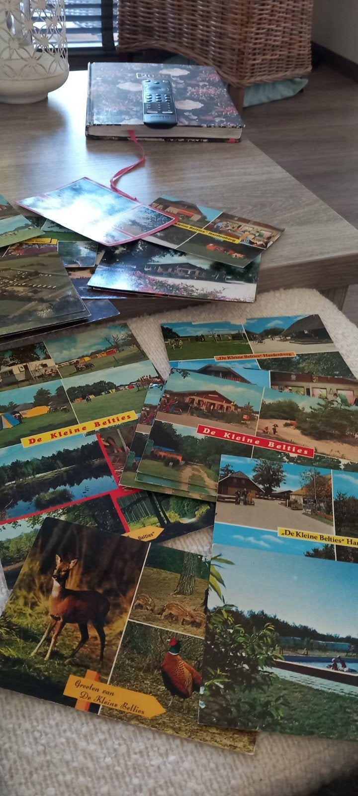 20 ansichtkaarten van camping kleine belties Hardenberg, Ophalen of Verzenden, 1960 tot 1980